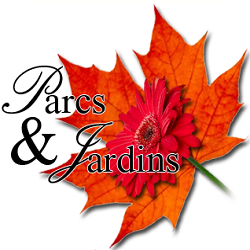 Logo Michel Chaves