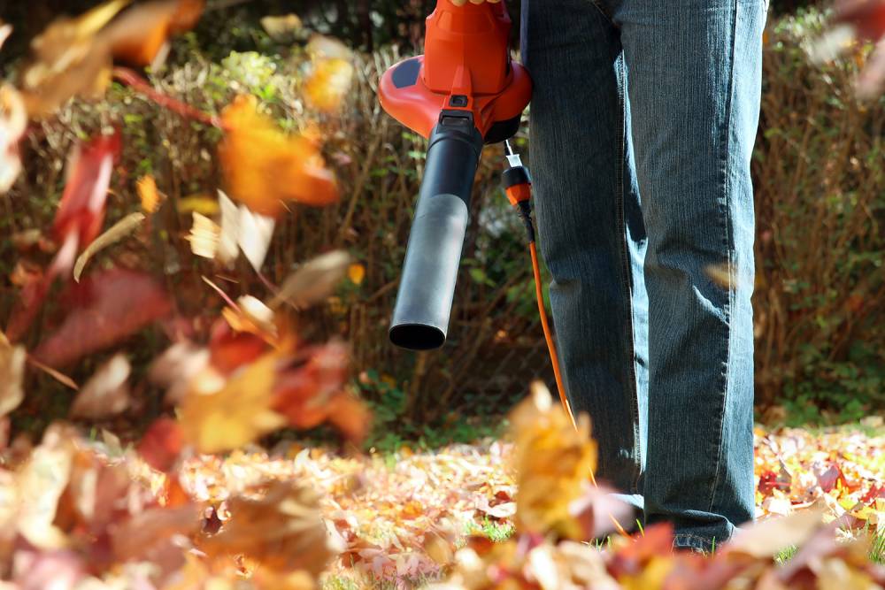 Entretien d'espaces verts près de Fréchou